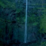 Szampon naturalny Mirra-Kasztan