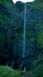 Szampon naturalny Mirra-Kasztan