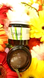 Naturalna pasta do zębów z pąków sosny topoli i brzozy