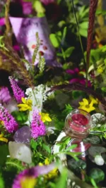 Naturalny błyszczyk Naturobłysk - mokry róż - obrazek 6