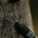 Maskara Smocze Rzęsy - obrazek 7